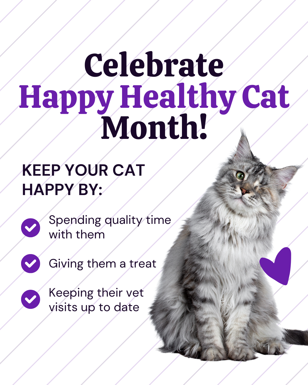 Celebrate Happy Healthy Cat Month Social Graphic