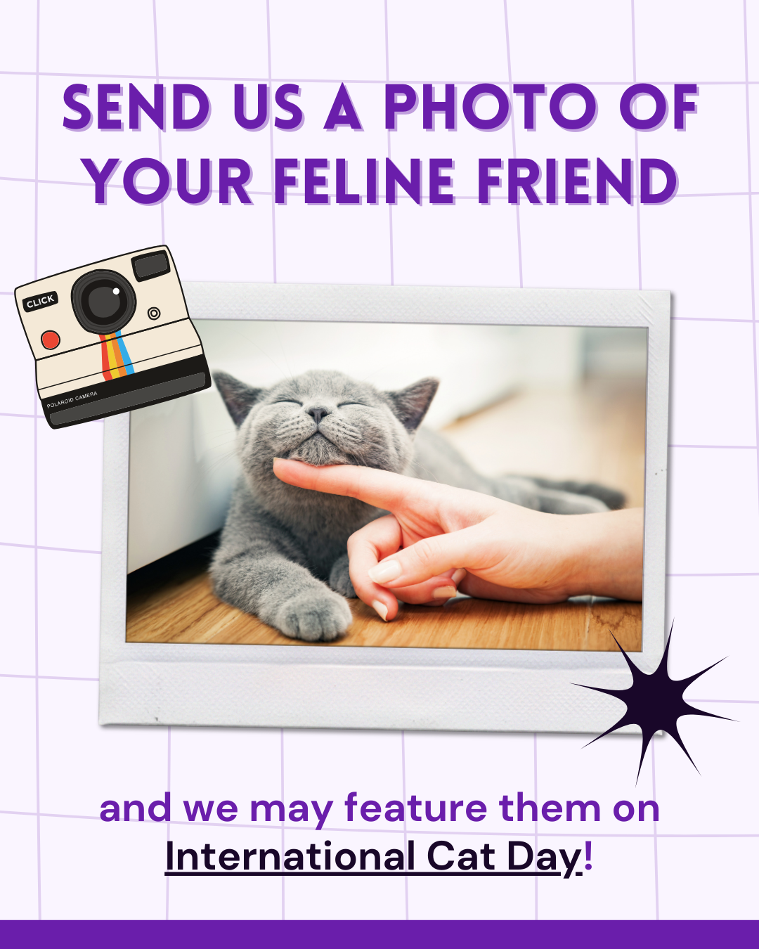 International Cat Day social graphic