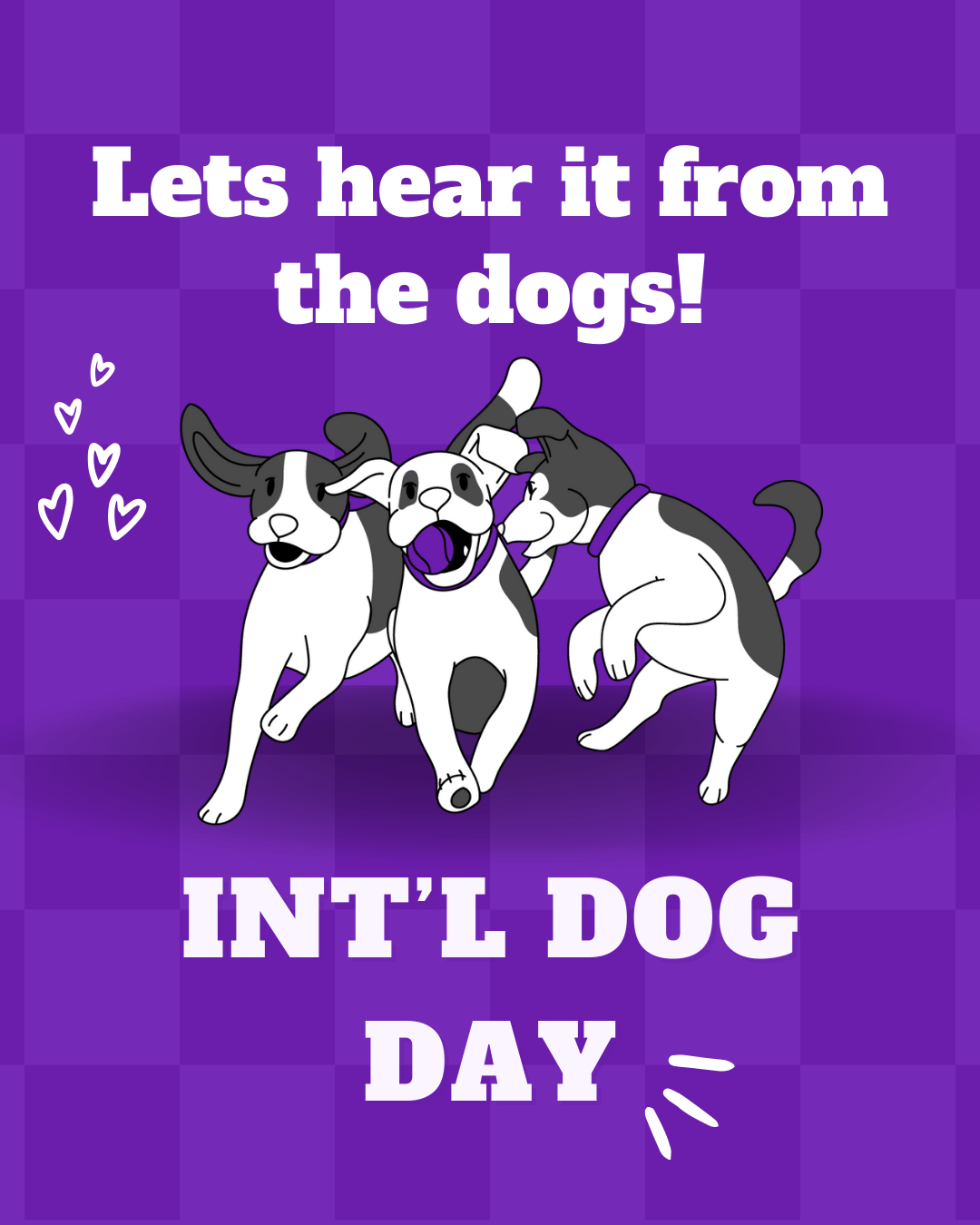 International dog day social graphic