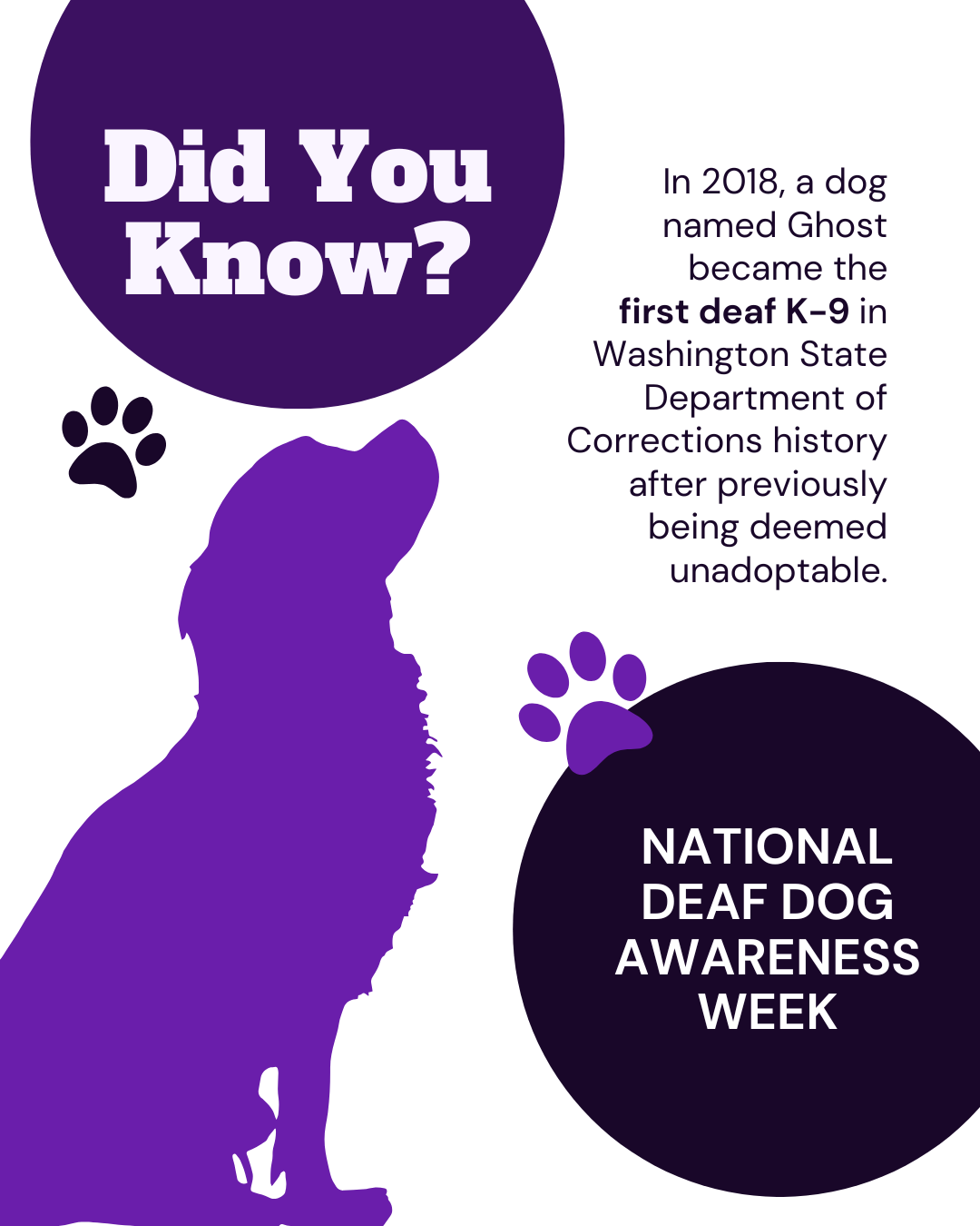 National Deaf Dog Awareness Week