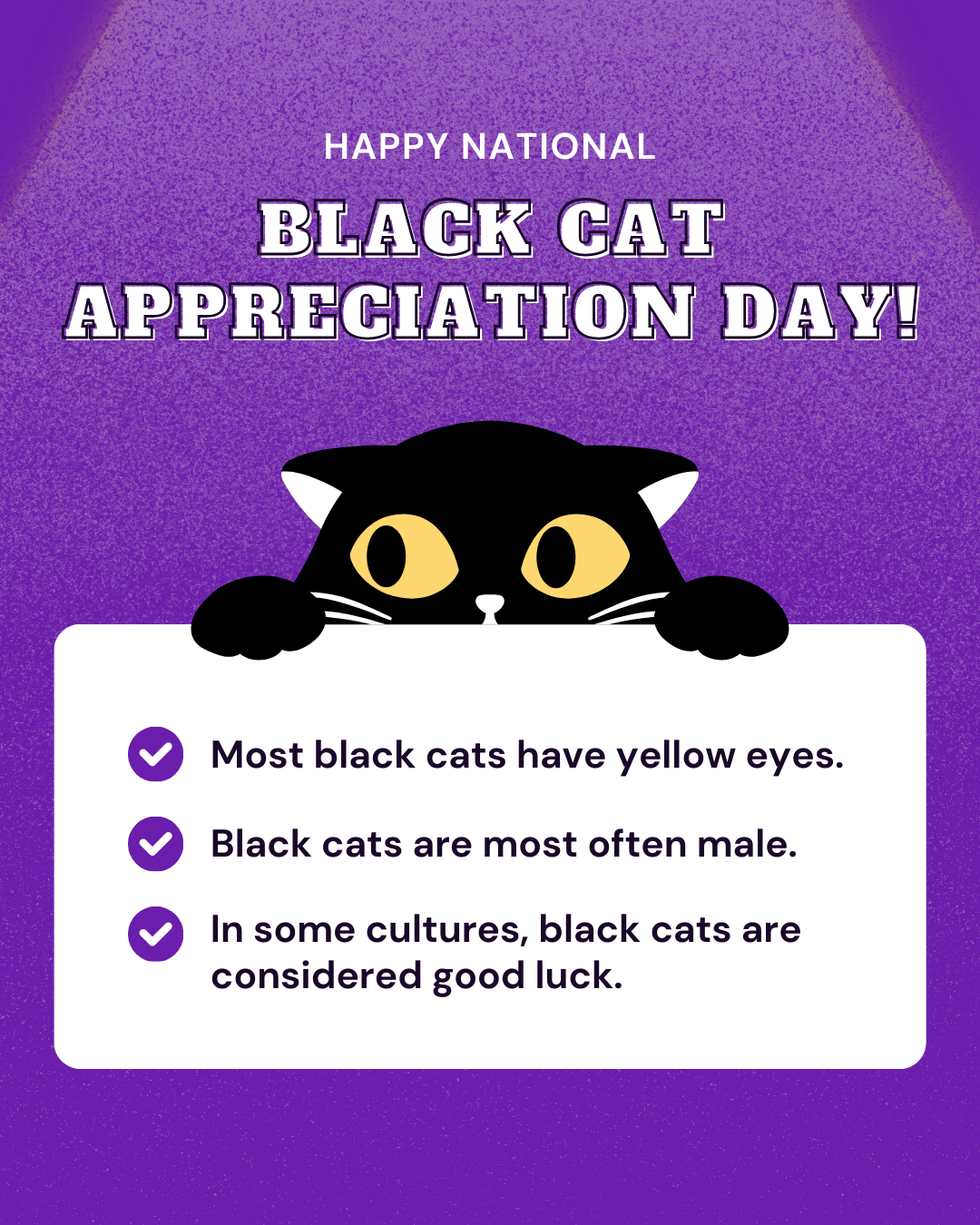 Black Cat Appreciation Day Social Graphic