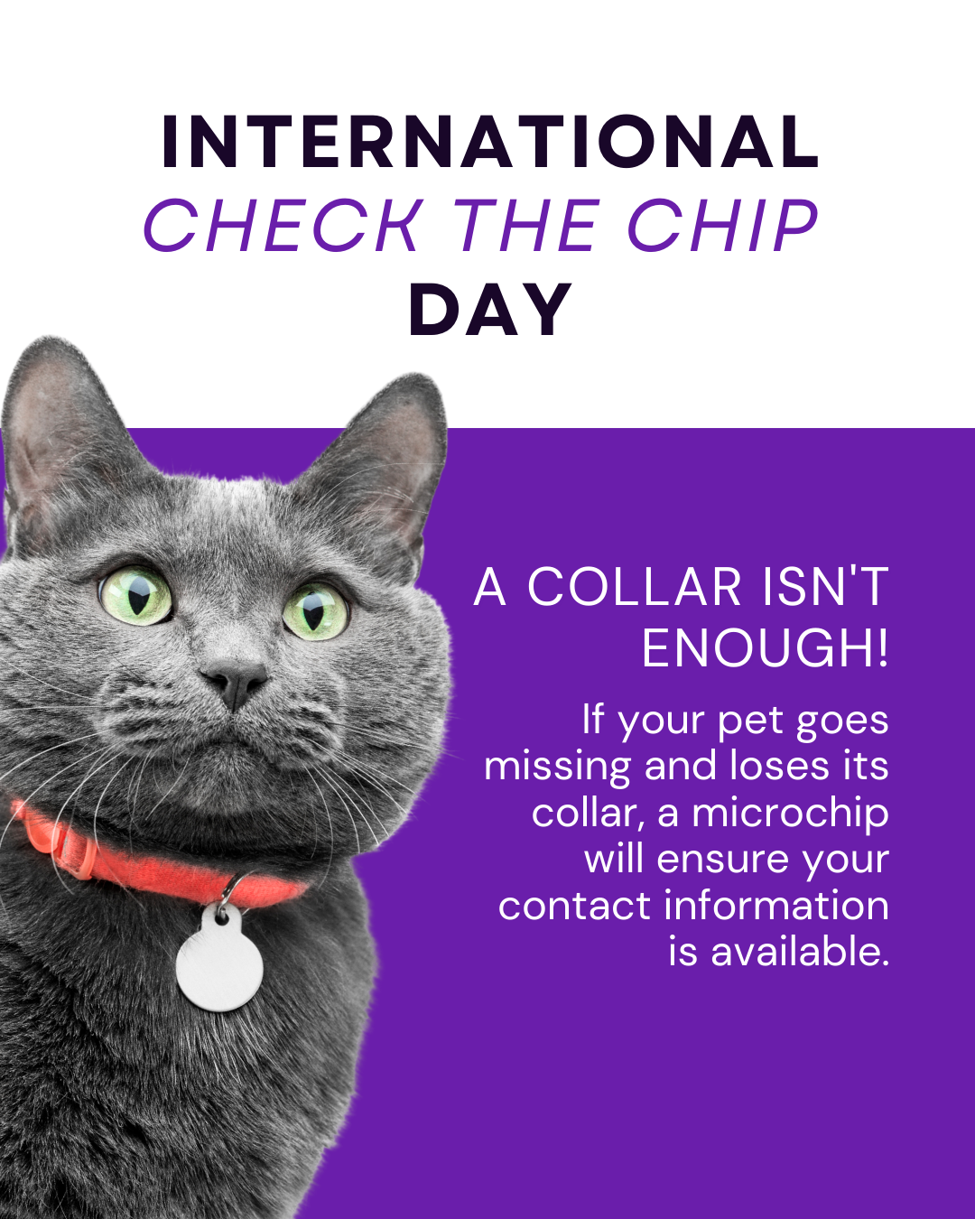 International Check the Chip Day Social Graphic