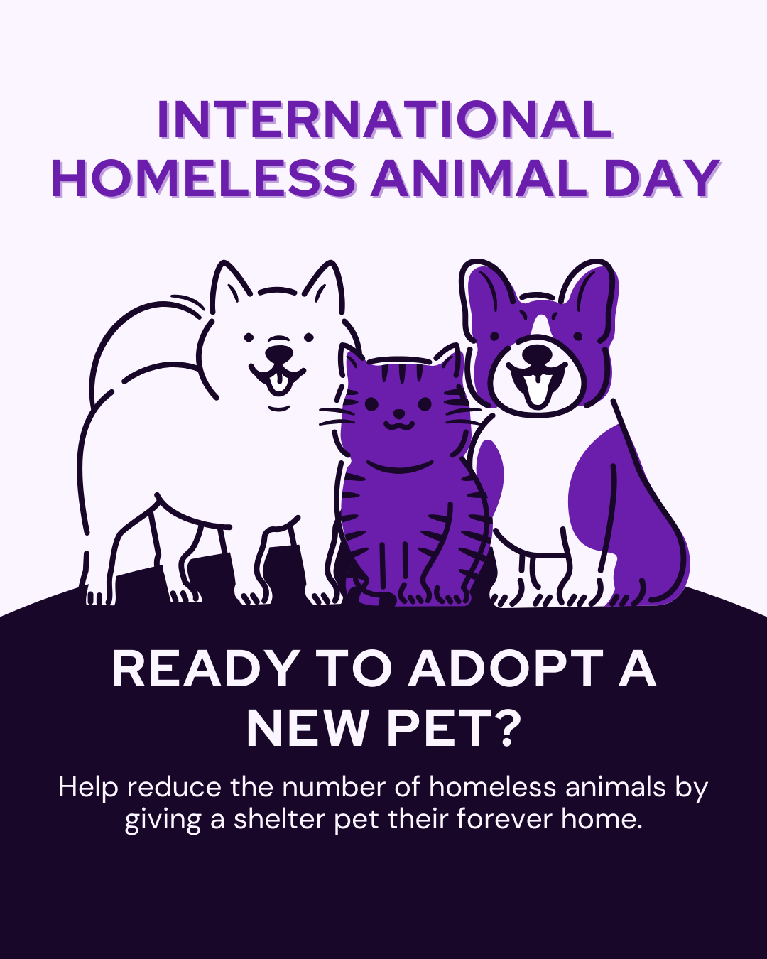 International Homeless Animal Day Social Graphic