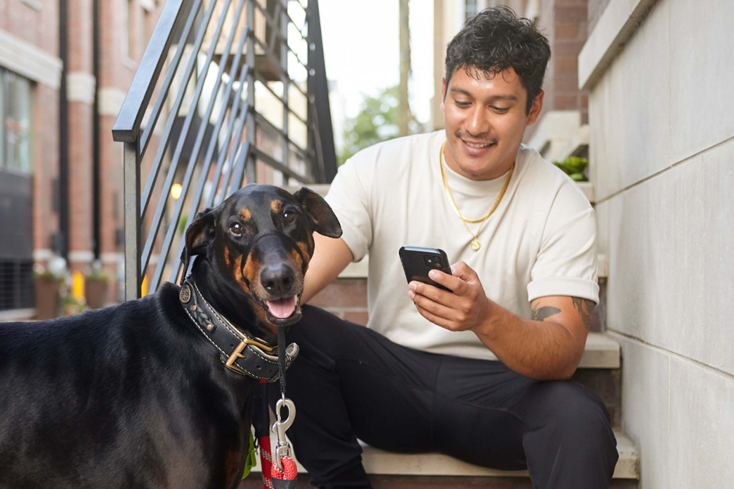 Female veterinarian happily examining a cat