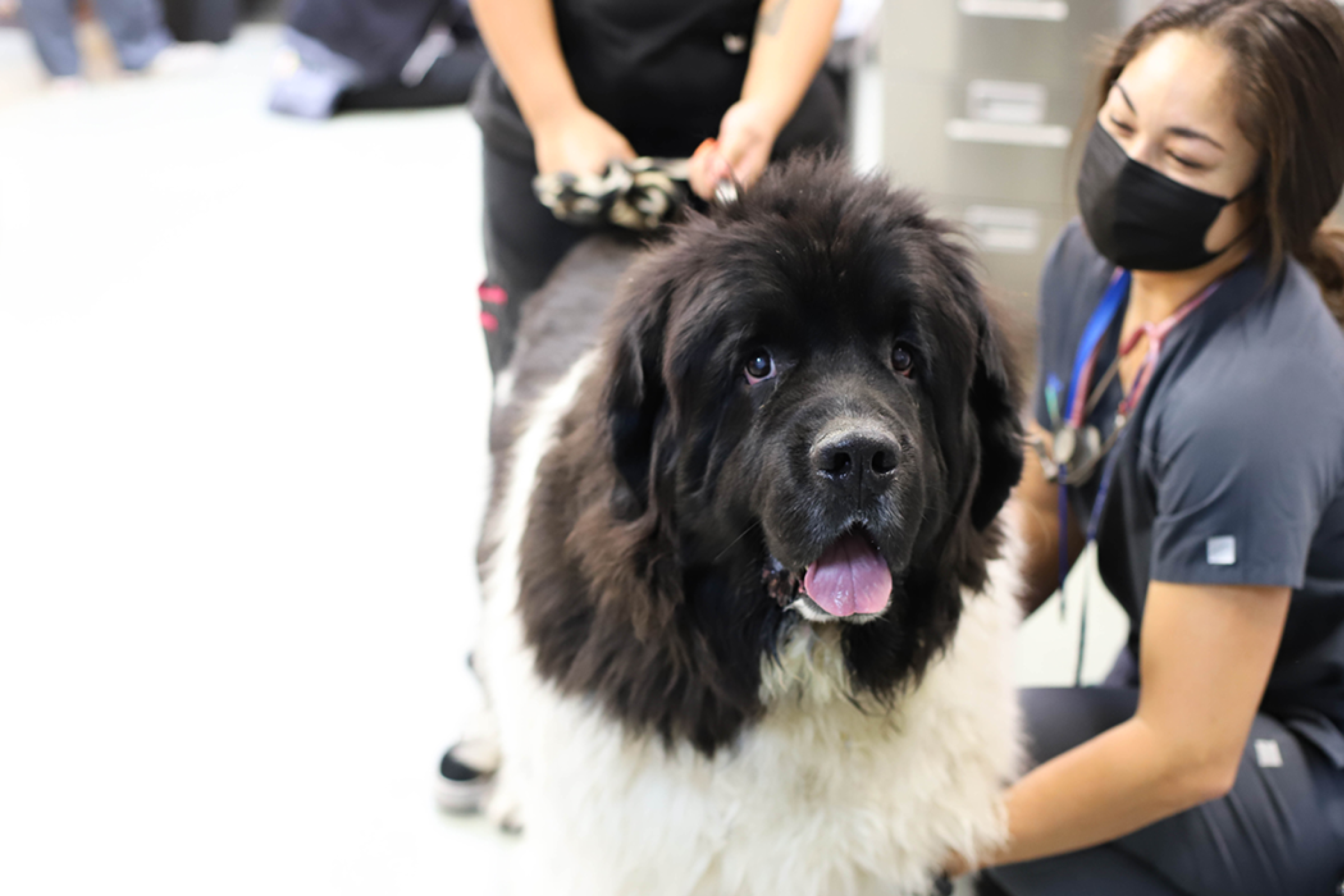 Digital appointment reminders to decrease no shows by 38%