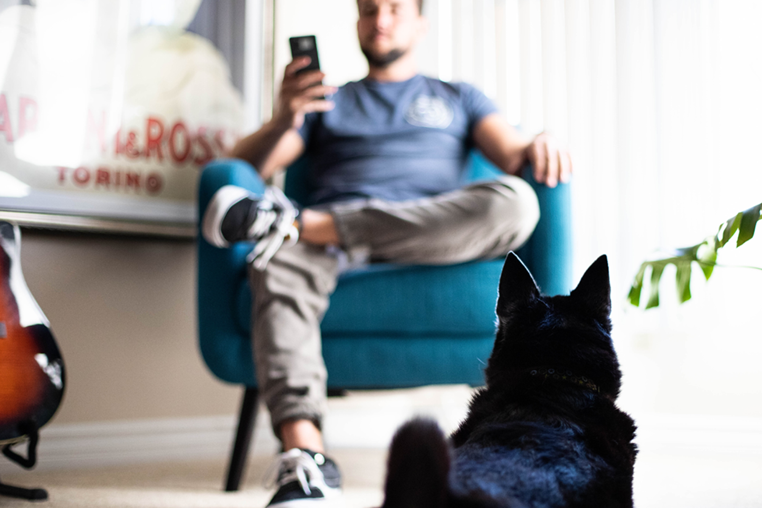 Grow revenue with a 25% increase in annual appointments through client retention