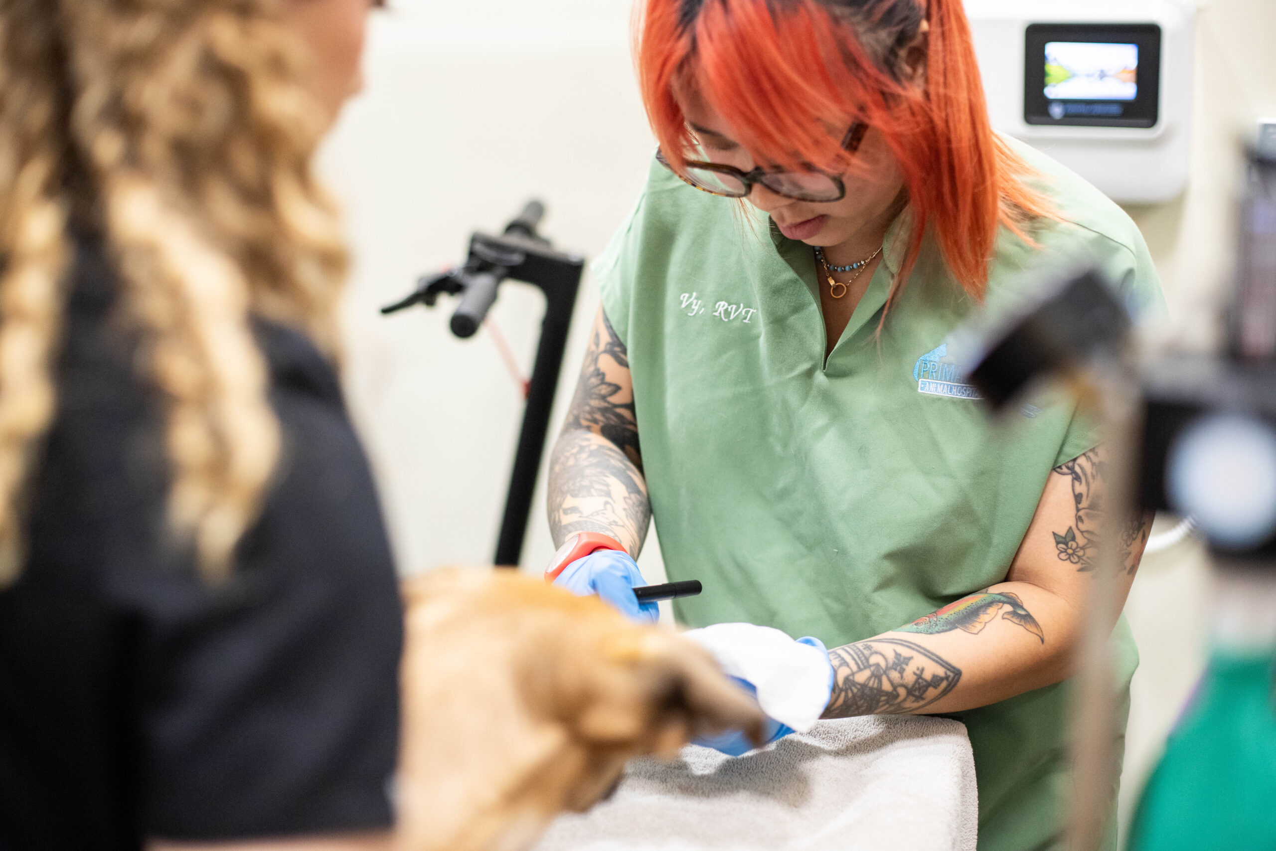 Two vet techs working together to help a pet