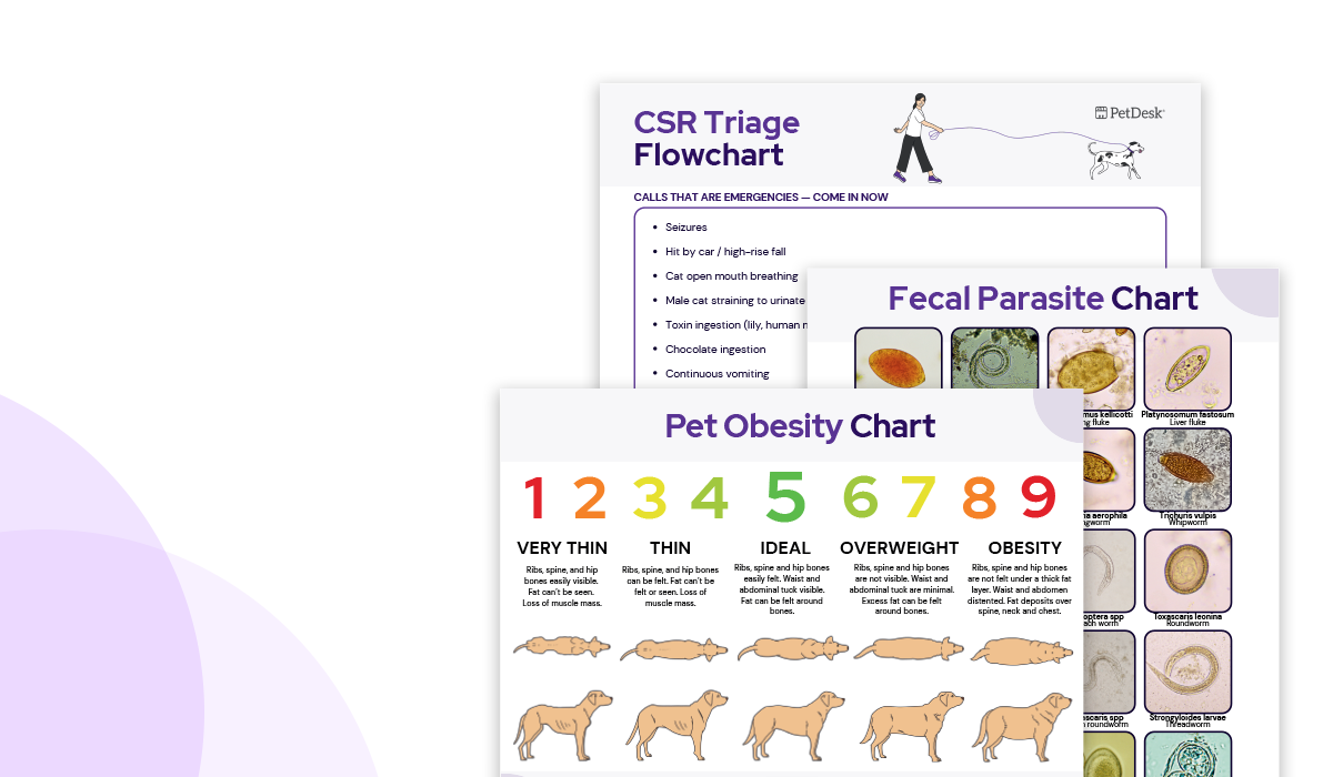 Veterinary Client Education & CSR Resource Pack