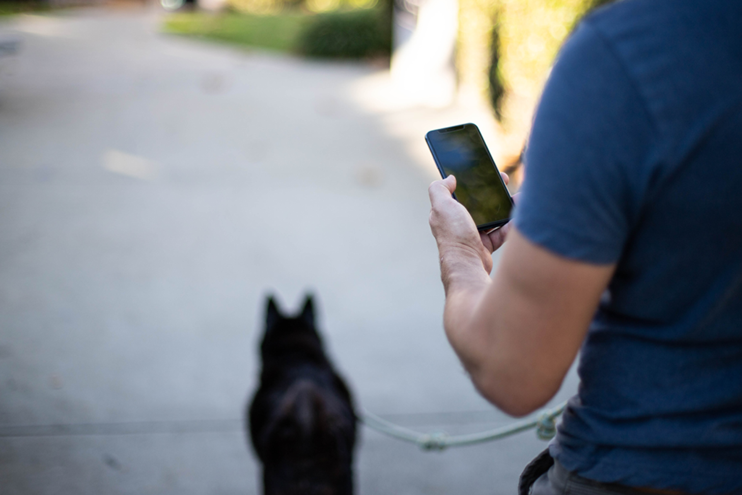 PetDesk’s two-way messaging saves practice 12 hours a week