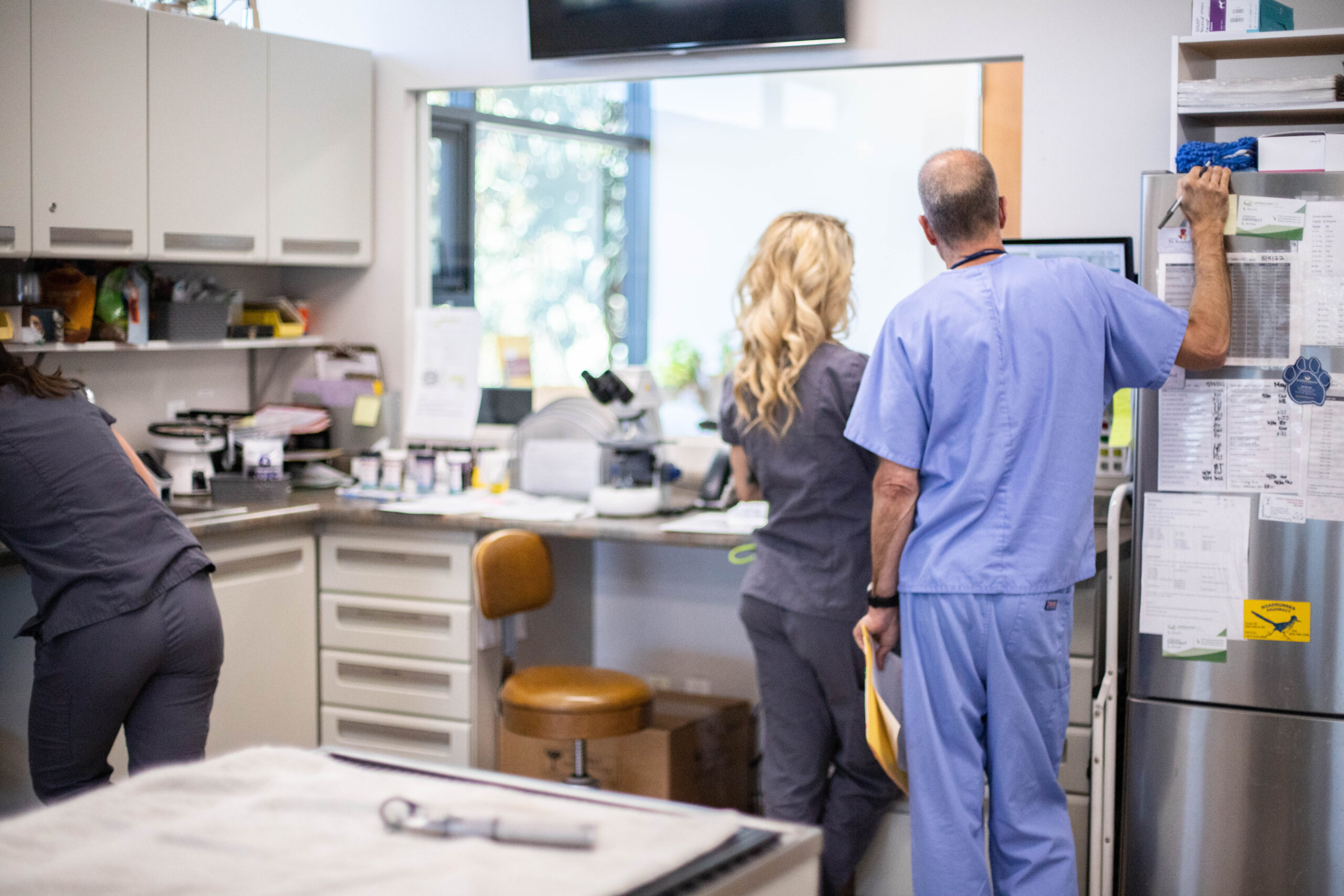 Veterinarian and veterinary technician reviewing items on a computer