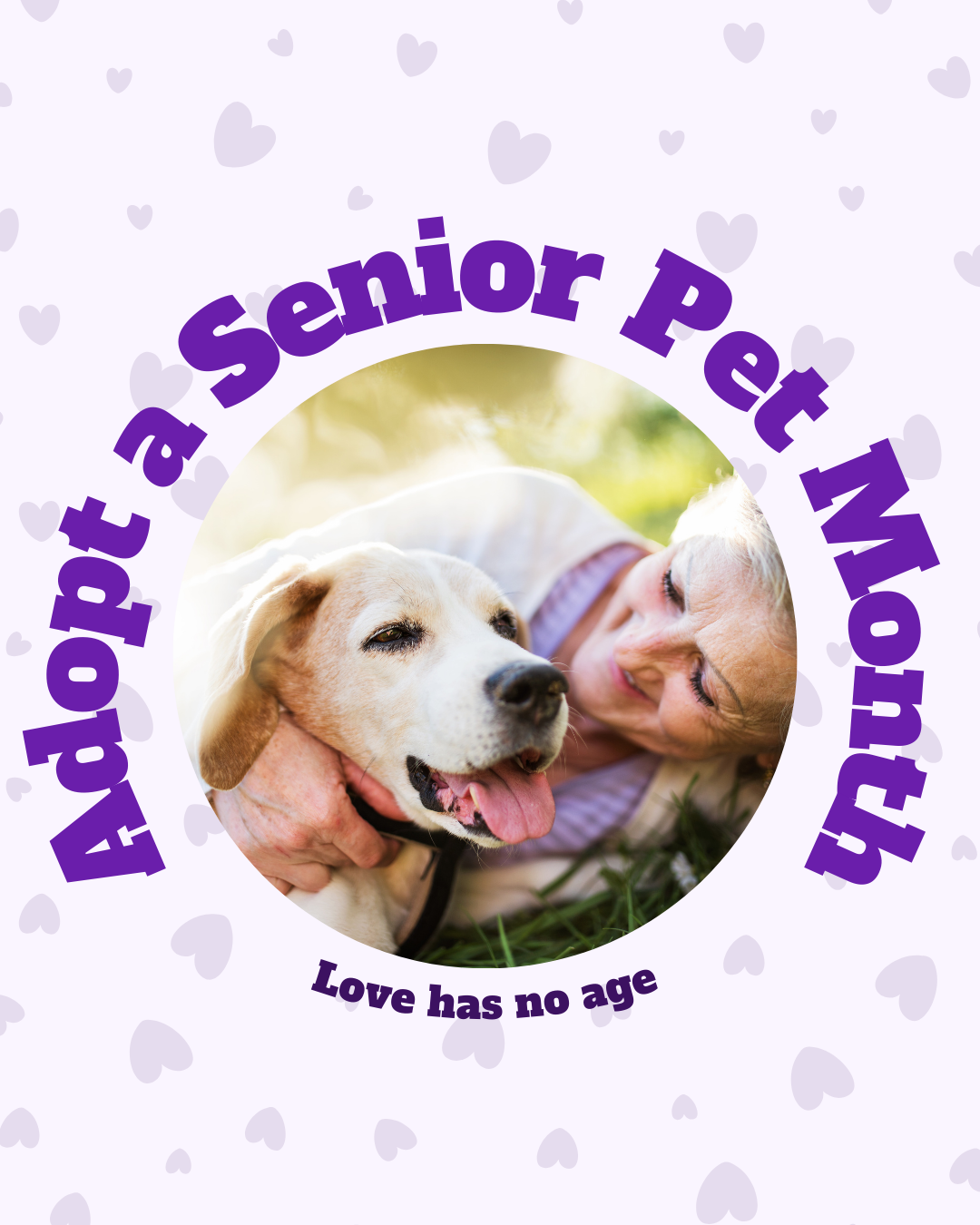 Adopt a Senior Pet Month Social Graphic