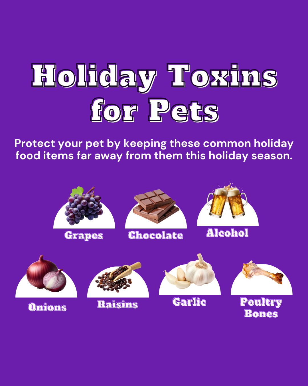 Holiday Toxins for Pets Social Graphic