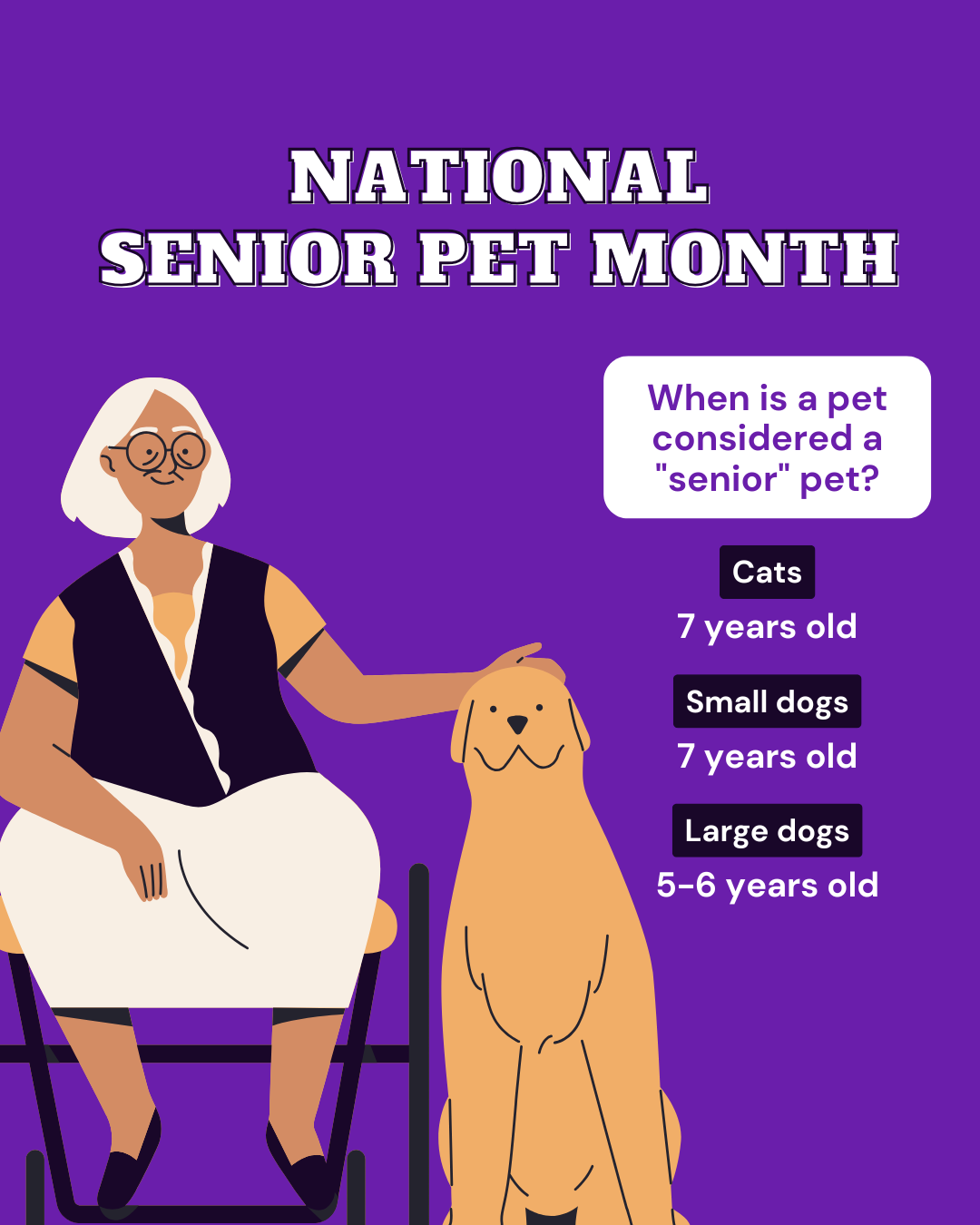 National Senior Pet Month Social Graphic