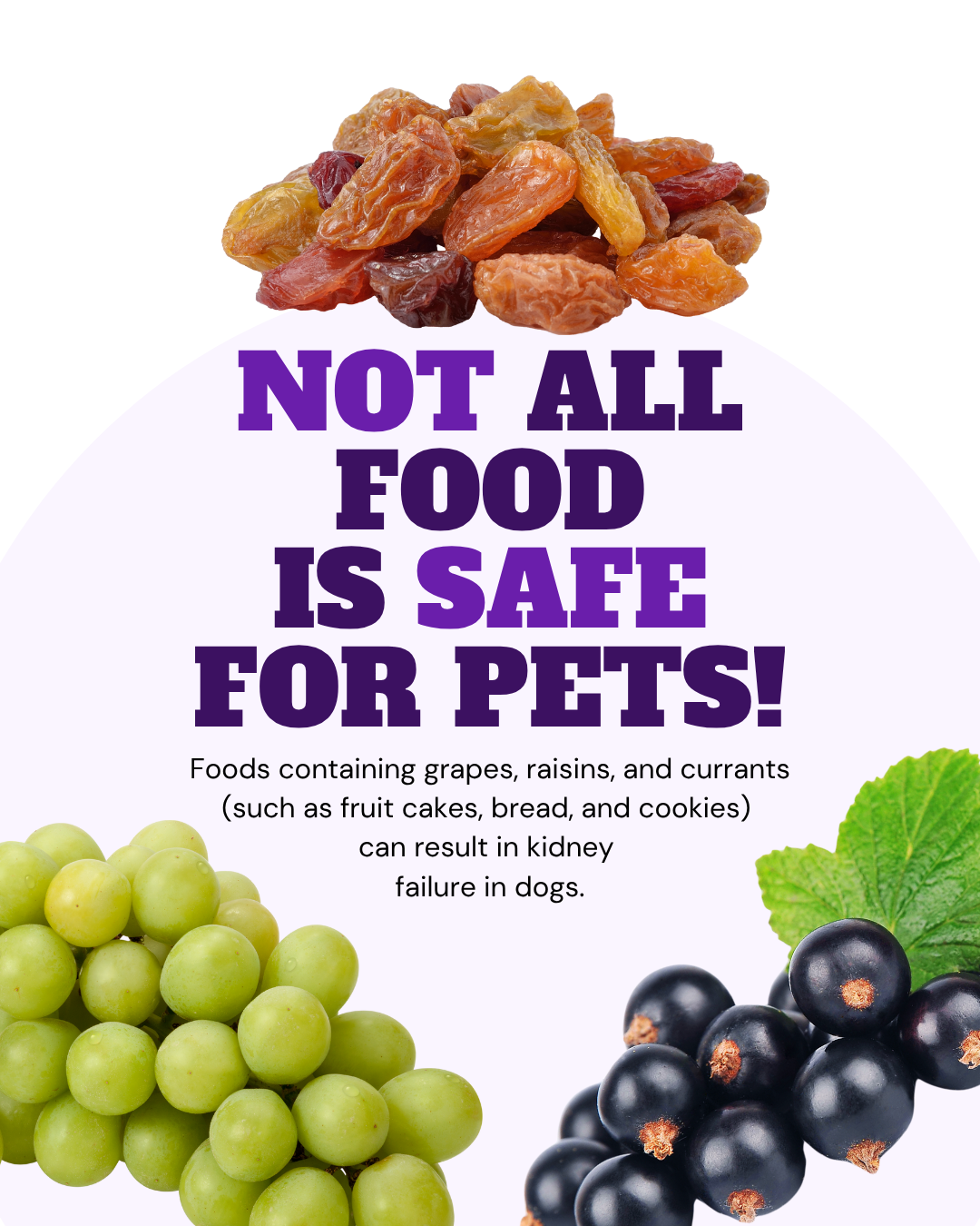 Food safety social graphic