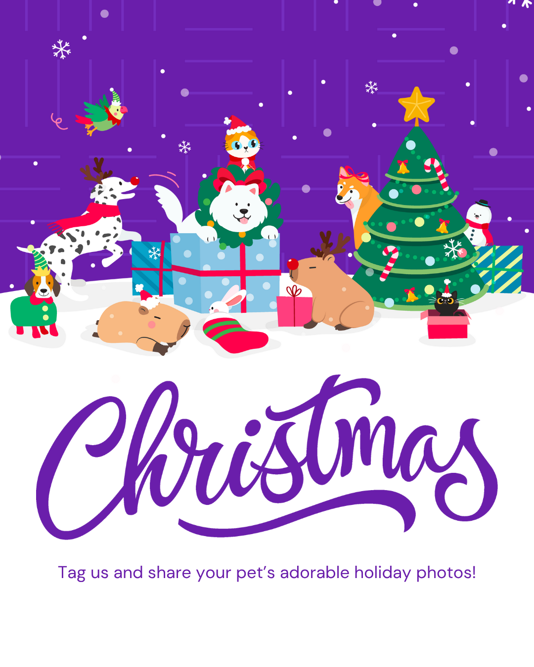 Christmas Social Graphic